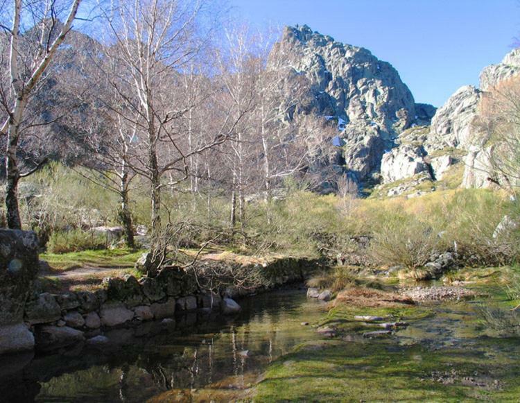 Casa Miguel Villa Sabugueiro  Dış mekan fotoğraf