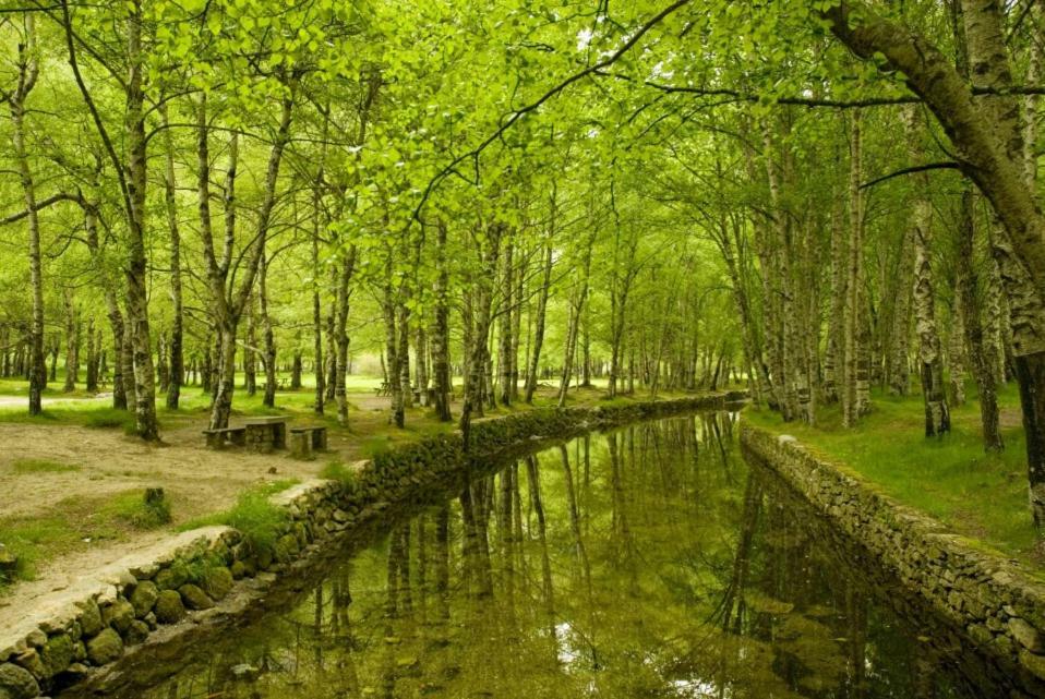 Casa Miguel Villa Sabugueiro  Dış mekan fotoğraf