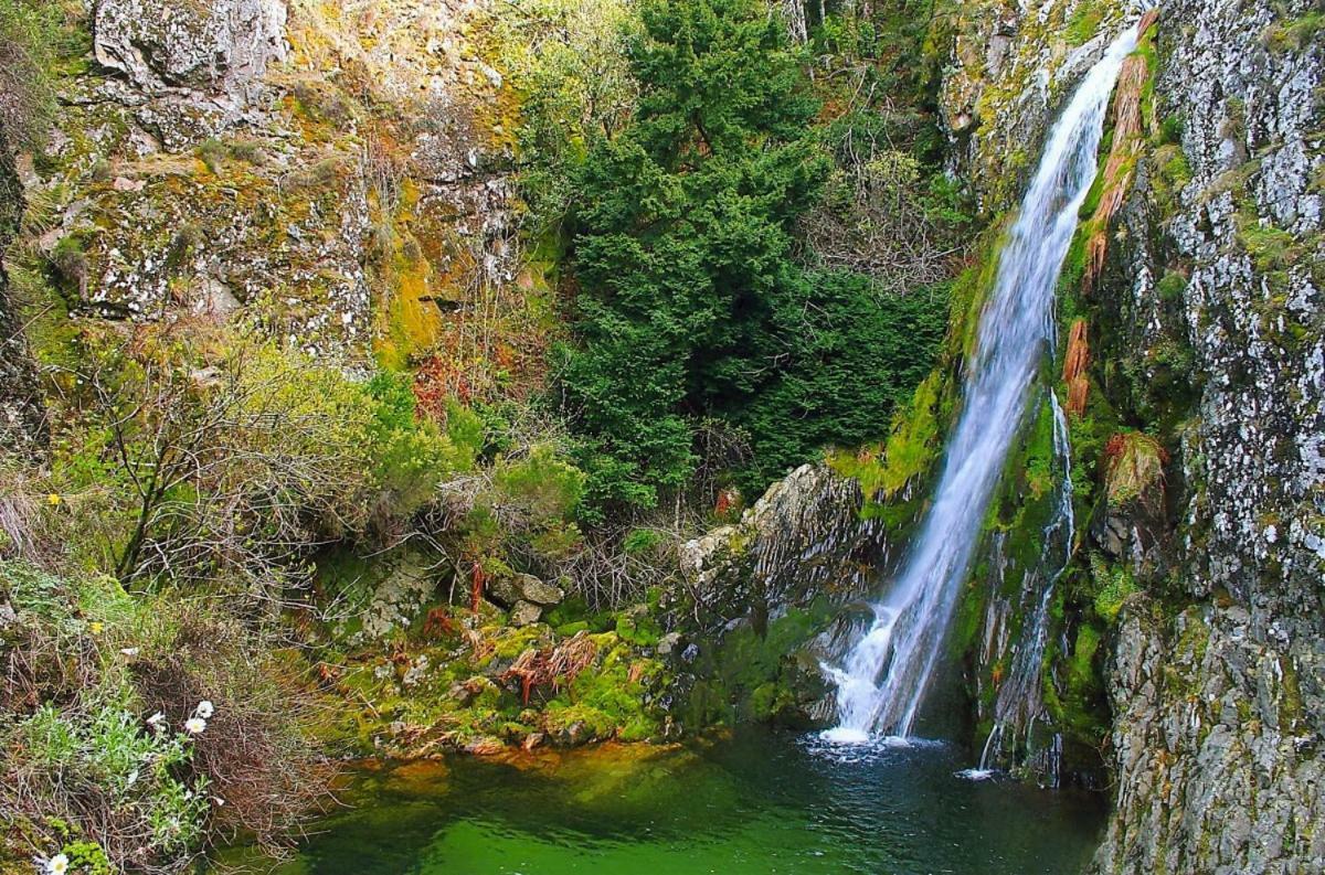Casa Miguel Villa Sabugueiro  Dış mekan fotoğraf