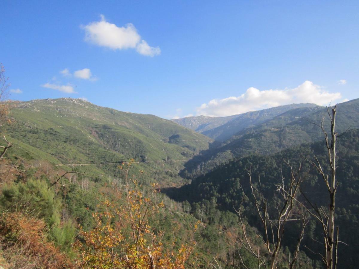Casa Miguel Villa Sabugueiro  Dış mekan fotoğraf